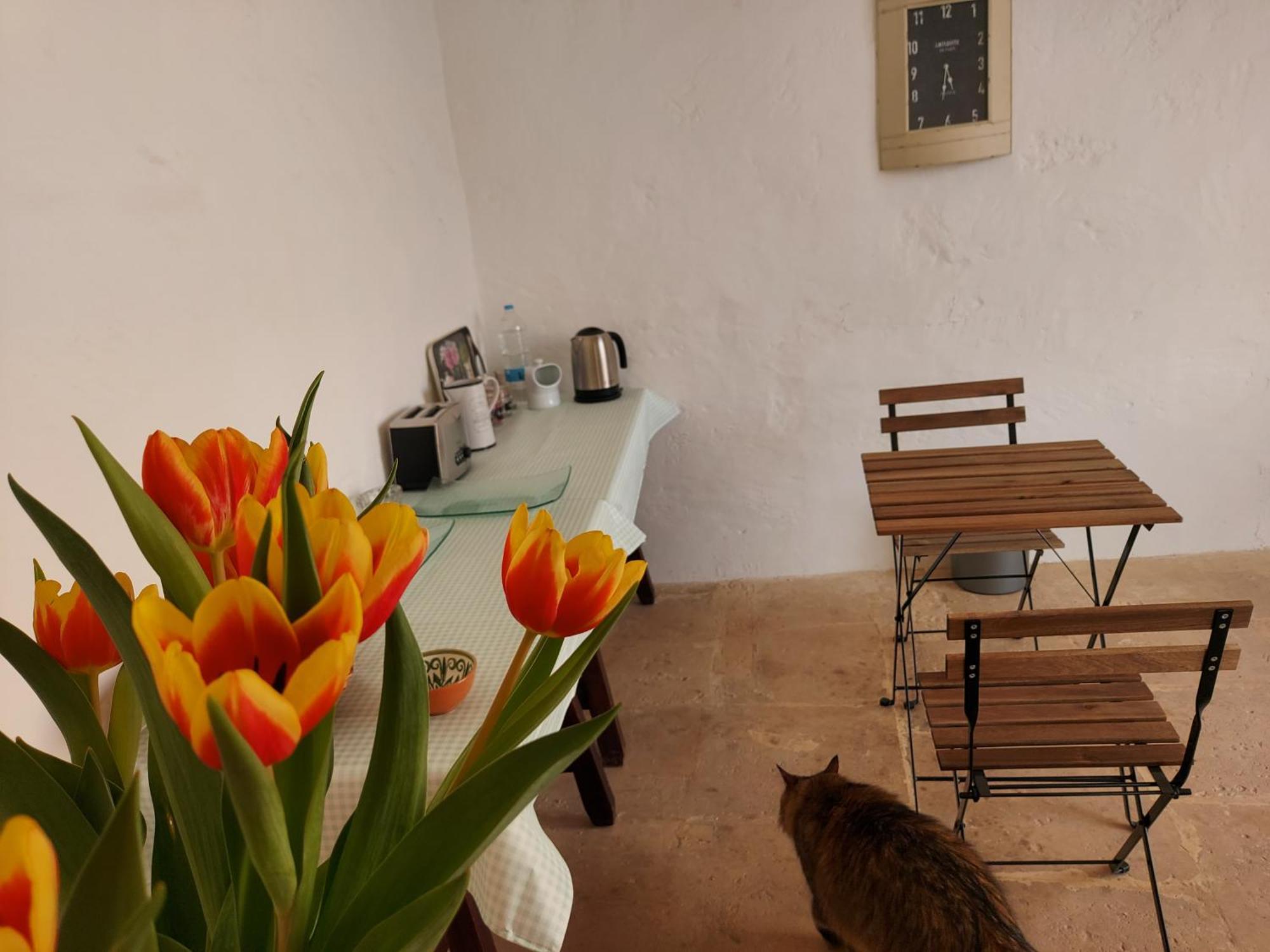 Razzett Warda B&B Għasri Εξωτερικό φωτογραφία